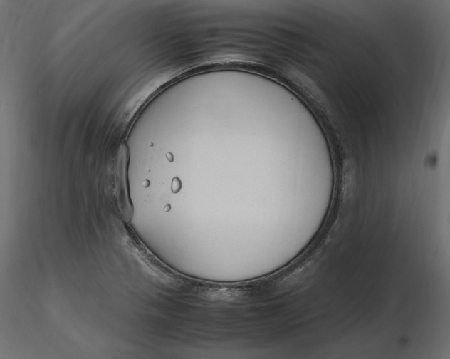 X0000116581321200912312006