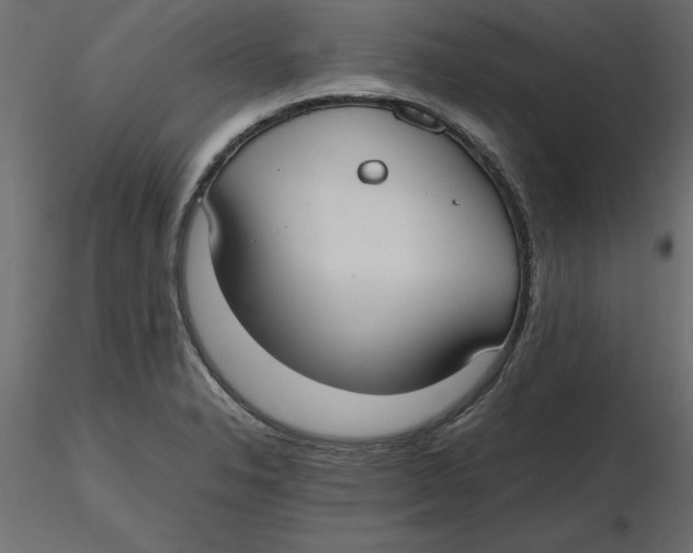 X0000116581326200912312006