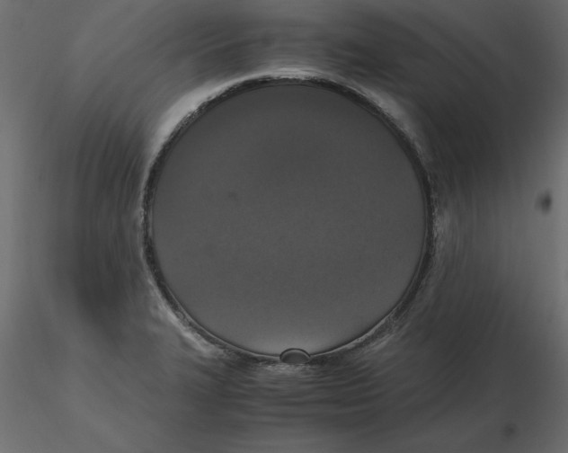 X0000116581327200912312006