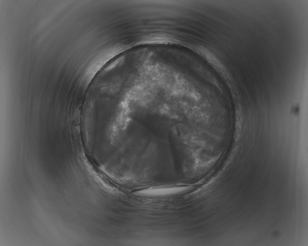 X0000116581329200912312006