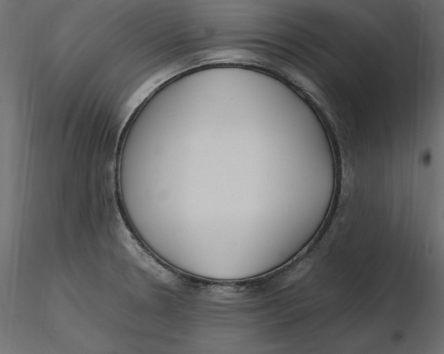 X0000116581330200912312006