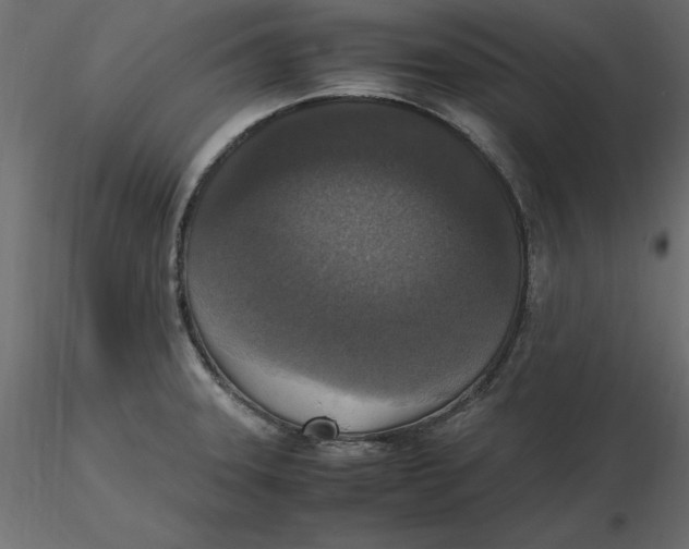 X0000116581331200912312006