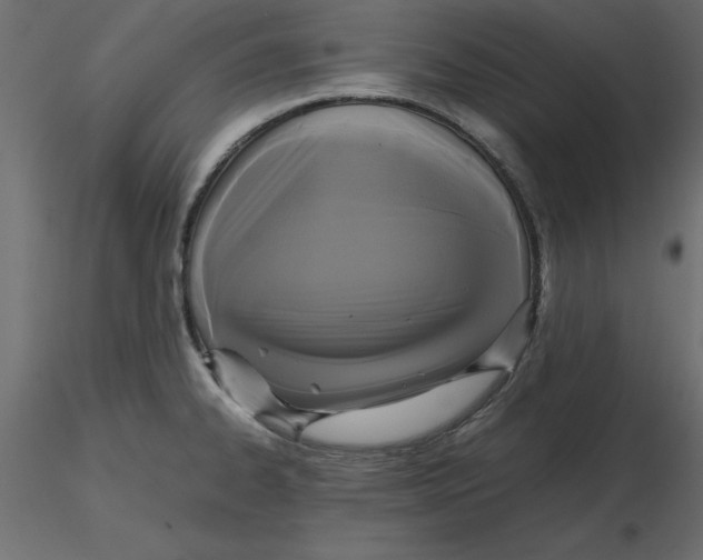 X0000116581334200912312006