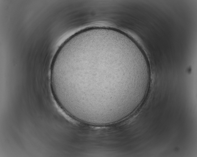 X0000116581335200912312006