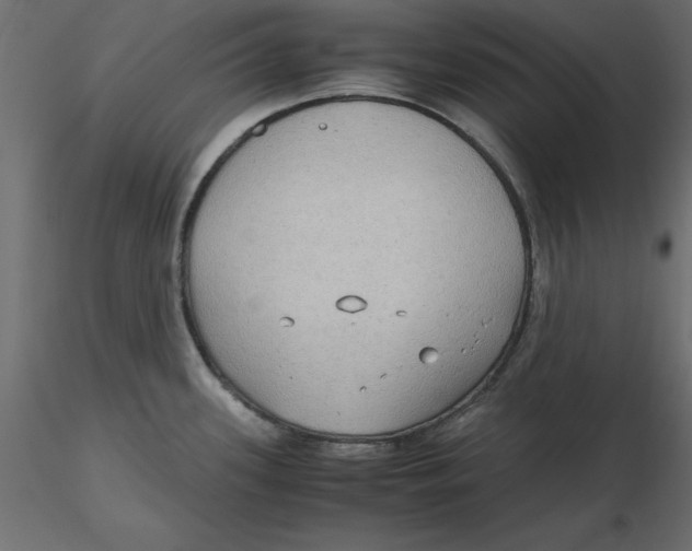 X0000116581339200912312006