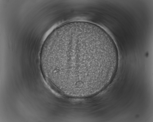 X0000116581341200912312006