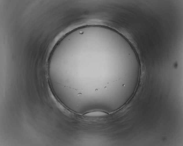 X0000116581342200912312006