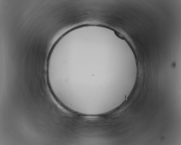 X0000116581343200912312006