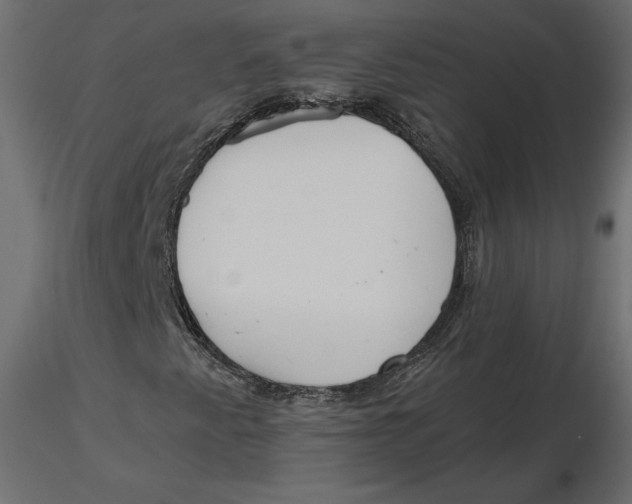 X0000116581345200912312006