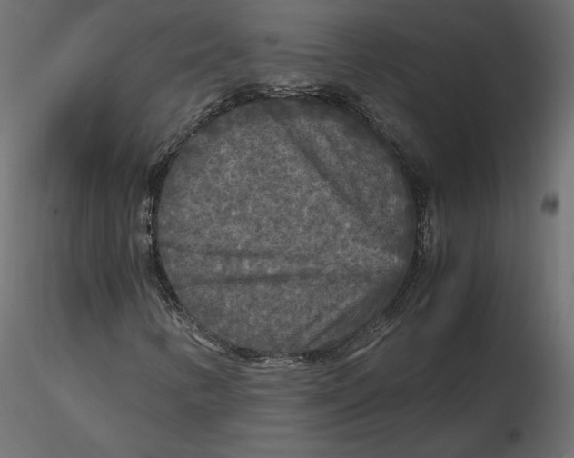 X0000116581346200912312006