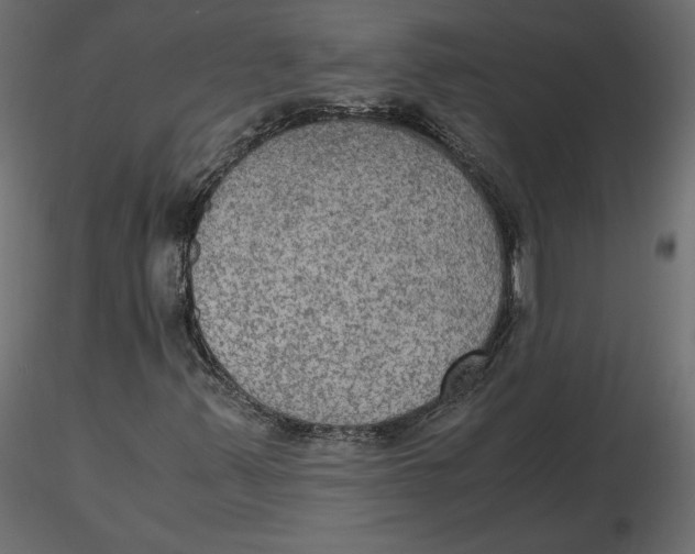 X0000116581347200912312006