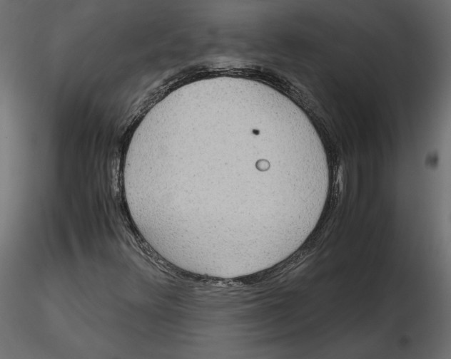 X0000116581348200912312006