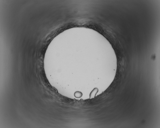 X0000116581349200912312006