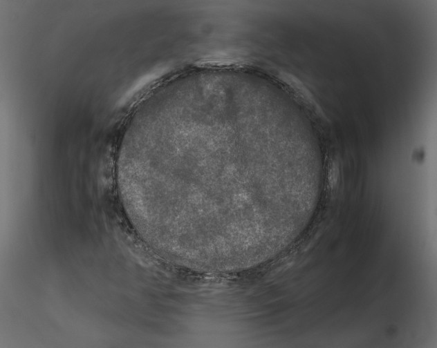 X0000116581350200912312006