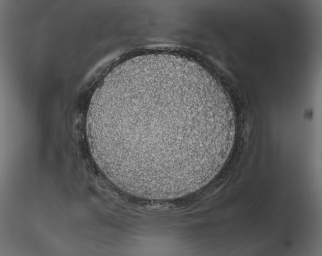 X0000116581351200912312006