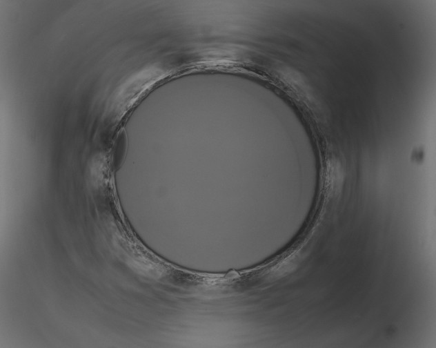 X0000116581353200912312006