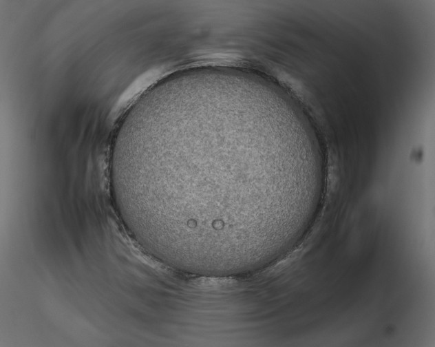 X0000116581354200912312006