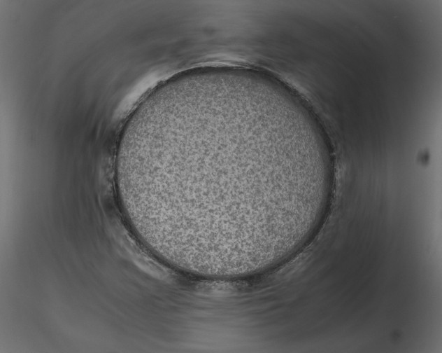 X0000116581355200912312006