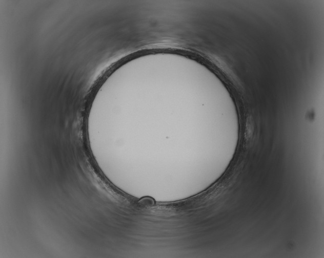 X0000116581356200912312006