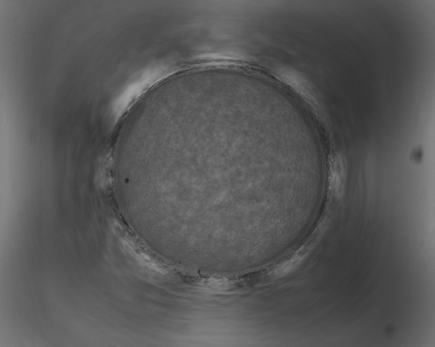 X0000116581357200912312005