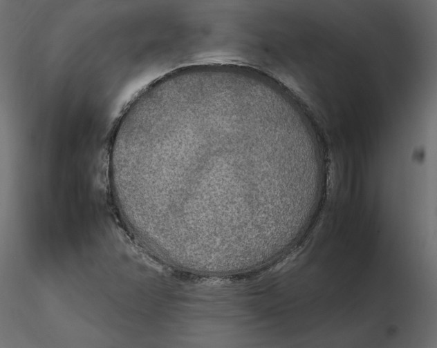 X0000116581358200912312005