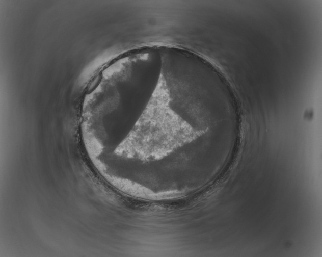 X0000116581359200912312005