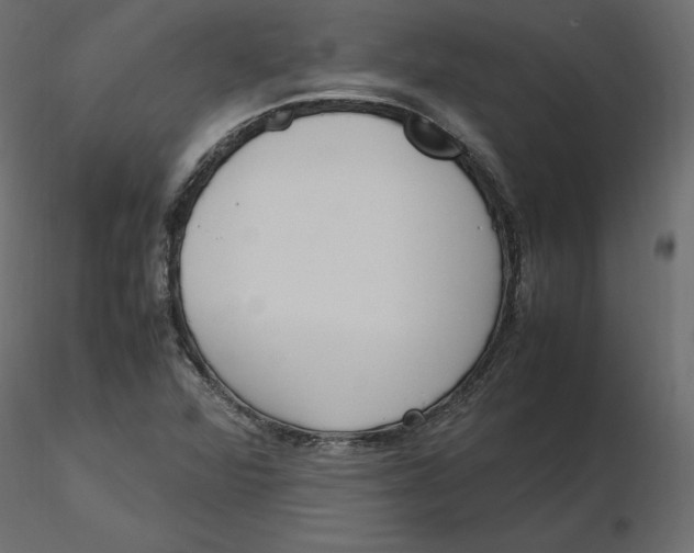 X0000116581360200912312005