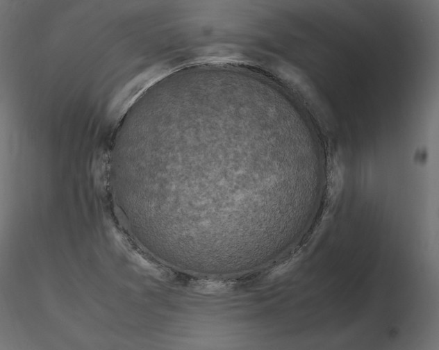 X0000116581361200912312005