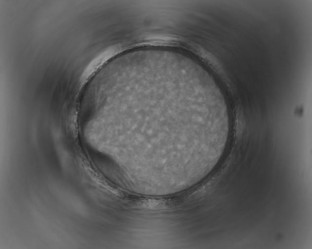 X0000116581362200912312005