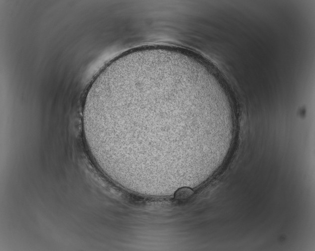 X0000116581363200912312005