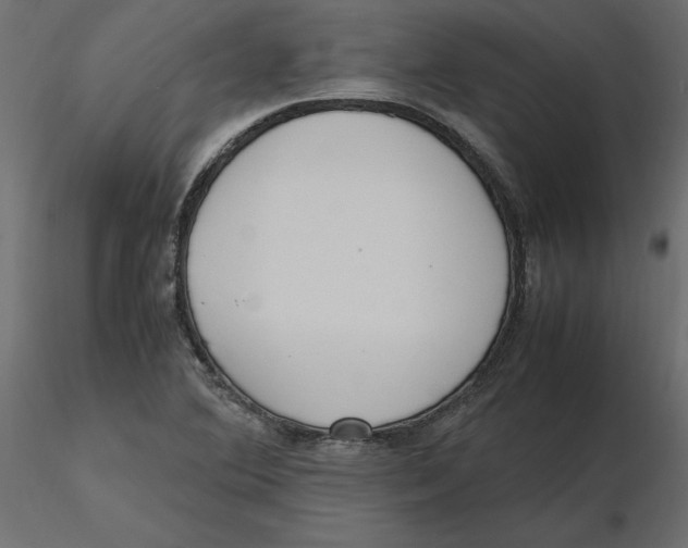 X0000116581364200912312005