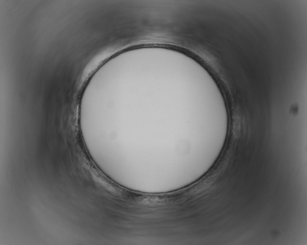 X0000116581366200912312005