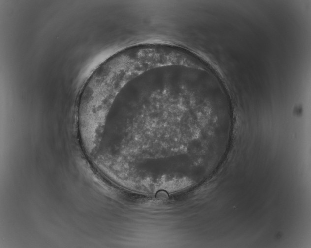 X0000116581367200912312005