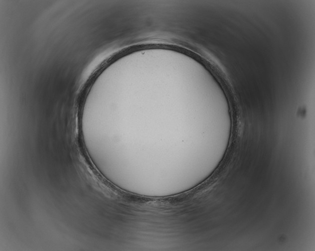 X0000116581368200912312005