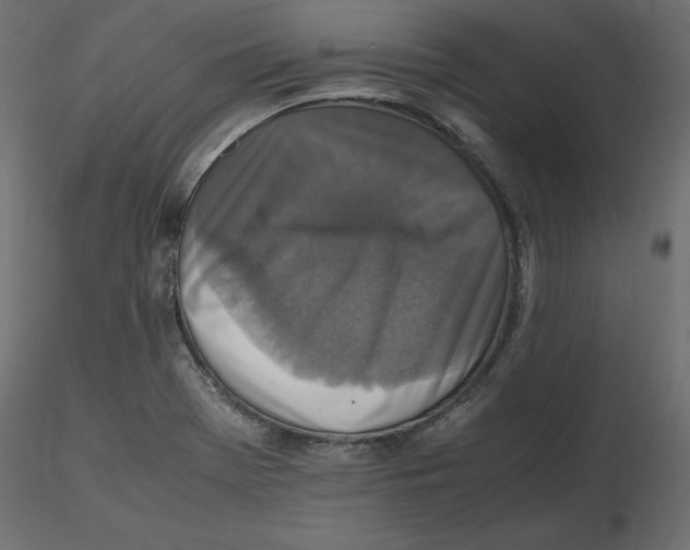 X0000116581369200912312005