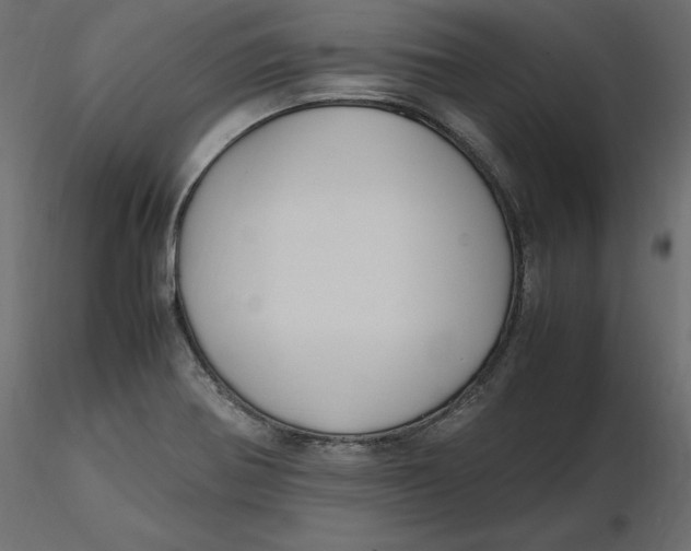 X0000116581370200912312005