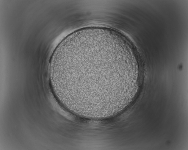 X0000116581371200912312005