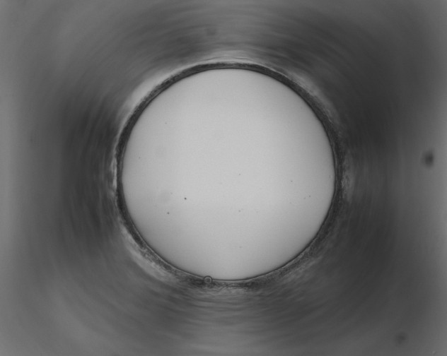 X0000116581372200912312005