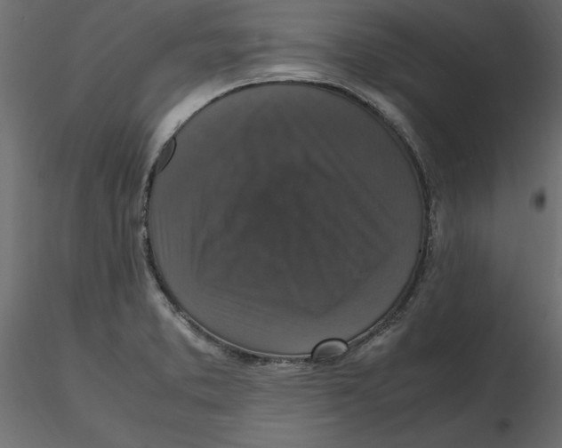 X0000116581373200912312005