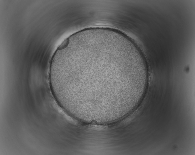 X0000116581374200912312005