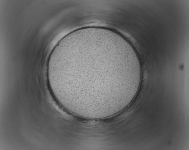 X0000116581375200912312005