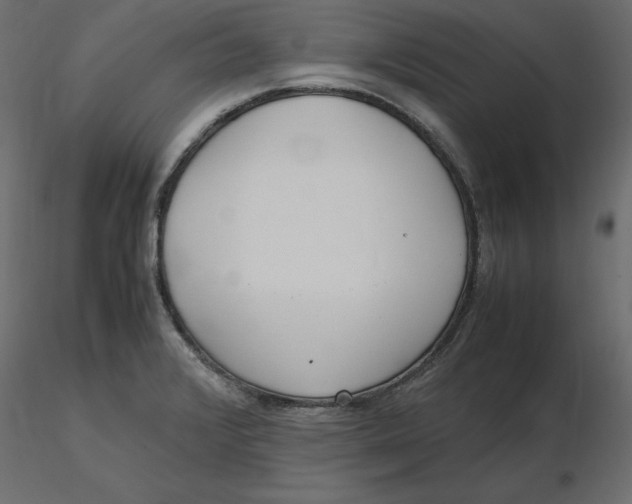 X0000116581376200912312005