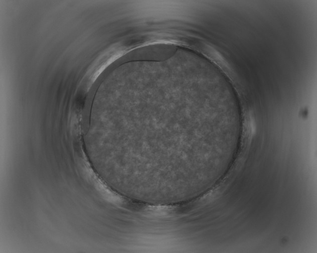 X0000116581377200912312005