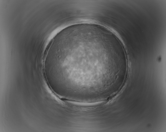 X0000116581381200912312005