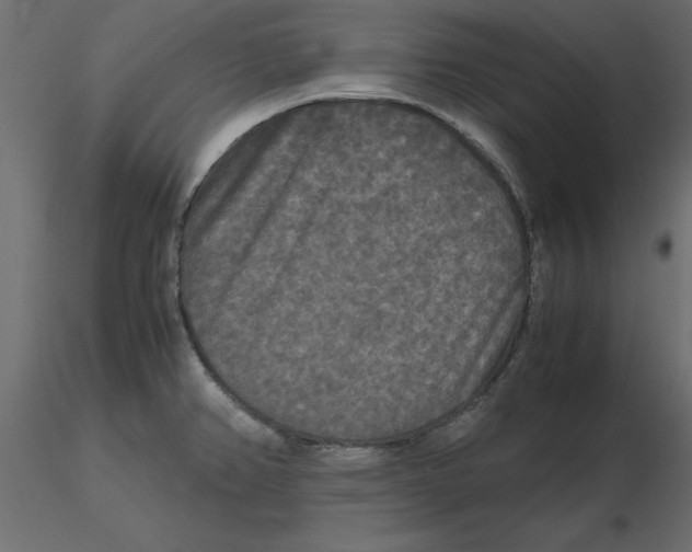 X0000116581382200912312005