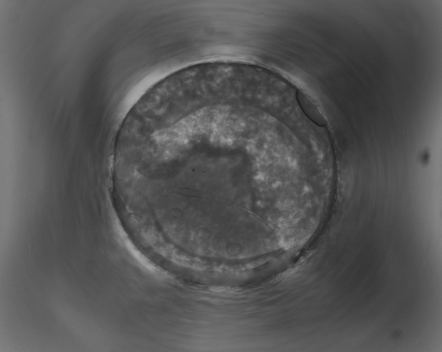 X0000116581383200912312005