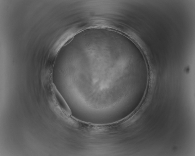 X0000116581385200912312005