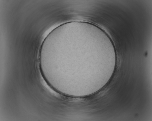 X0000116581387200912312005