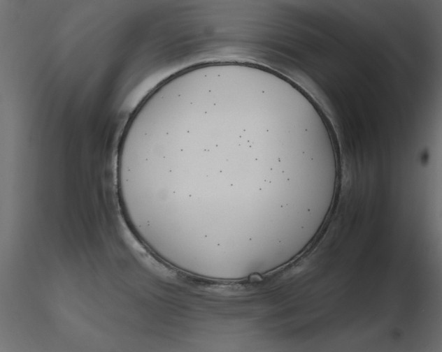 X0000116581388200912312005