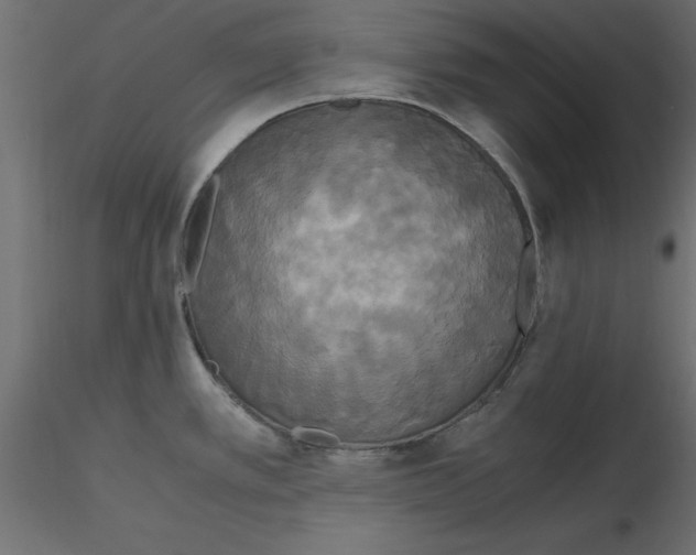 X0000116581389200912312005